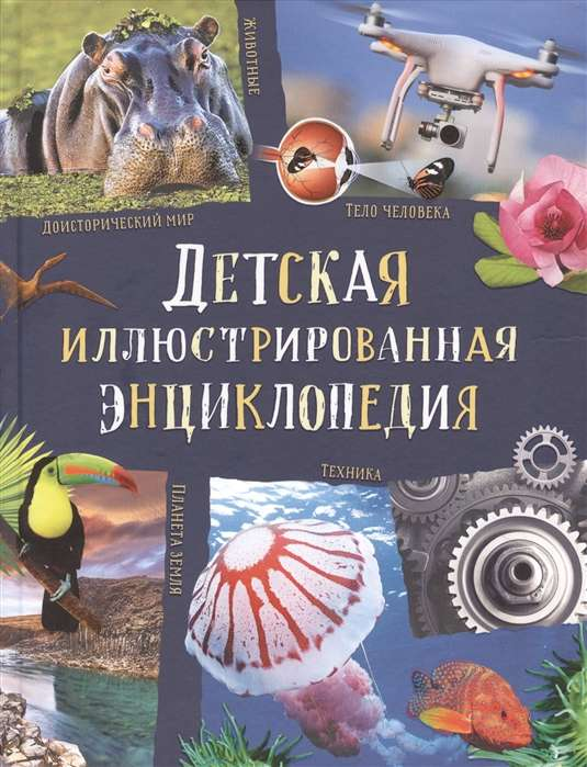 Детская иллюстрированная энциклопедия SOVABOOKS с яркими изображениями и интересными фактами для малышей