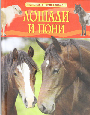 Детская книга «Лошади и пони» Травина И.в. на русском языке, иллюстрация на обложке, издание Sovabooks