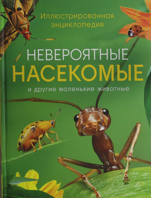 Иллюстрированная энциклопедия насекомых для детей, книга Тернера М с яркими иллюстрациями, издана Sovabooks