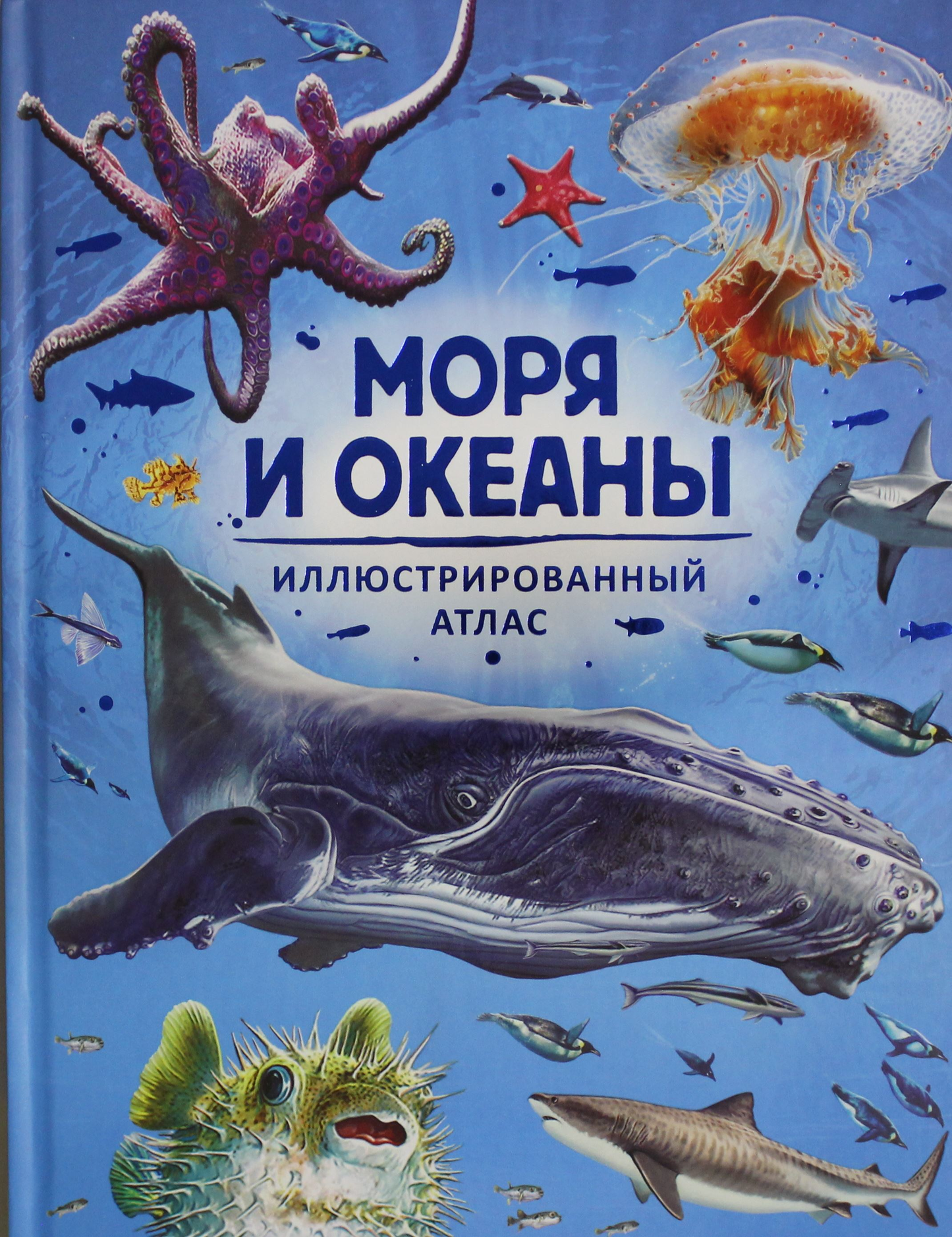 Детская книга "Моря и океаны. Иллюстрированный атлас" с яркими морскими иллюстрациями и картами океанов.