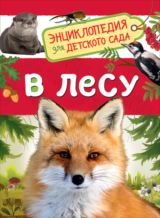 Детская книга «Клюшник Л. В. В лесу» от SOVABOOKS, иллюстрация с изображением леса и персонажей для детей.