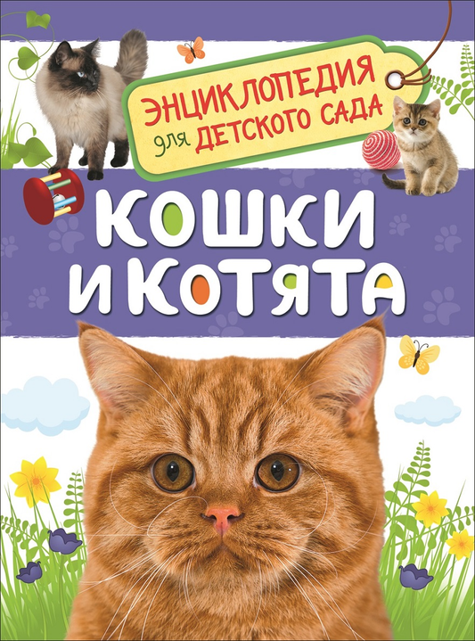 Книга "Кошки и котята" Мигунова Е.Я для детей, иллюстрации и название на обложке, изображение книги Sovabooks