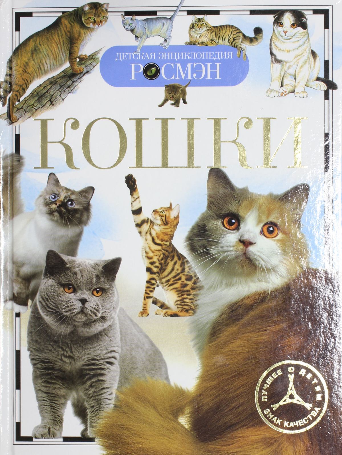 Детская книга о кошках от бренда SOVABOOKS, яркая обложка с изображением кошки и иллюстрациями для детей.