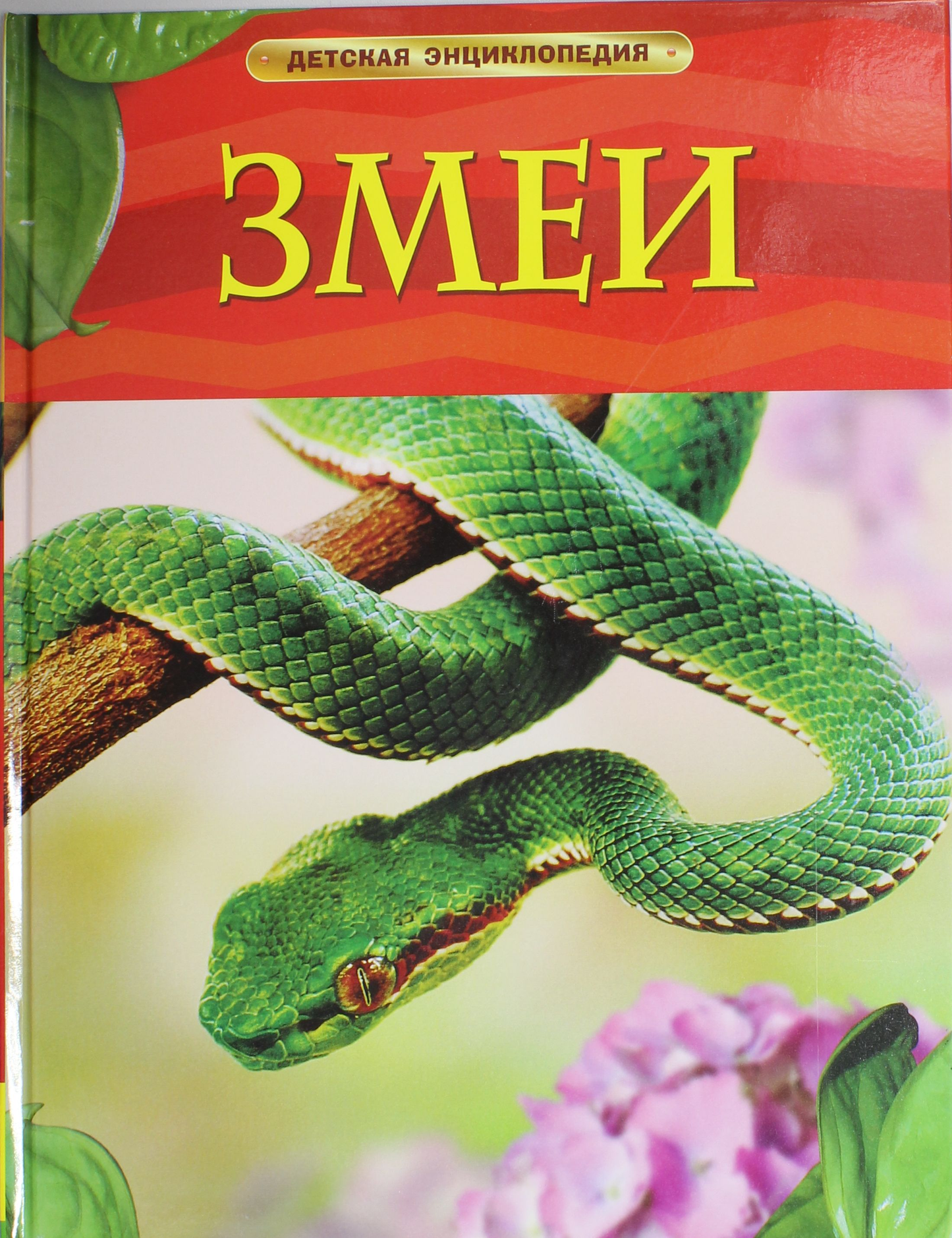 Детская книга о змеях от бренда SOVABOOKS, яркая иллюстрация на обложке для юных читателей
