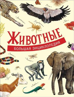 Книга "Животные. Большая энциклопедия" Литвиновой Д.А. для детей, иллюстрации животных, обложка издания Sovabooks