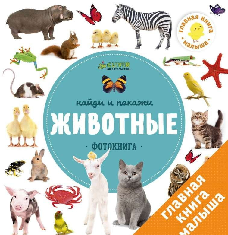 Детская книга о животных от SOVABOOKS, яркая обложка с изображениями различных животных для малышей