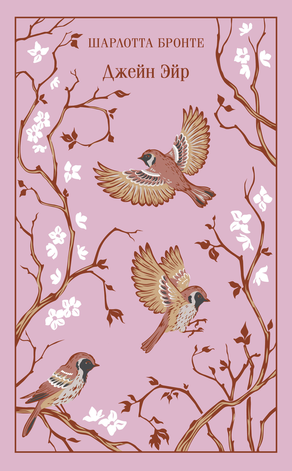 Gift edition of "Jane Eyre" by SOVABOOKS featuring illustrated cover and detailed artwork inside.