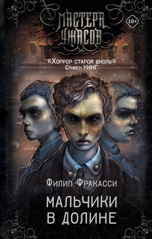 Обложка книги "Мальчики в долине" Фракасси Ф, фантастический роман в жанре научной фантастики, издано Sovabooks.