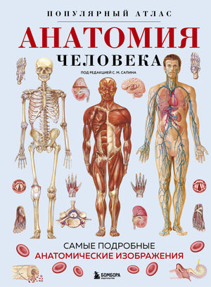 Анатомия человека, популярный атлас с подробными изображениями, книга по анатомии от Sovabooks, автор Котова С.В.