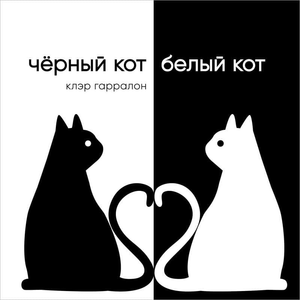 Чёрный и белый кот на обложке детской книги "Гарралон К" от Sovabooks, яркая иллюстрация для детей